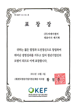 韓国青年企業家精神財団 (2011)