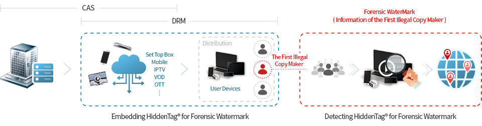 Embedding HiddenTag for Forensic Watermark > Distribution > Detecting HiddenTag for forensic Watermark > The First Illegal copy Maker