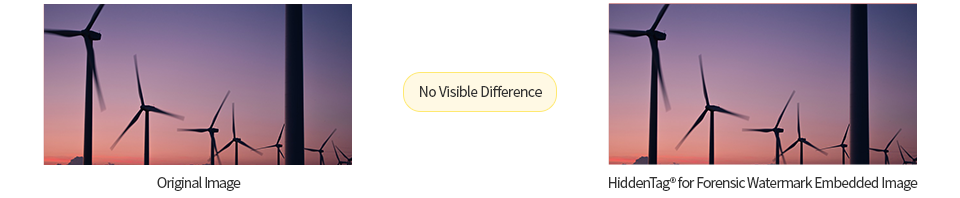 No Visible Difference