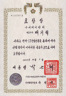 전자정보통신산업진흥회 (2013)