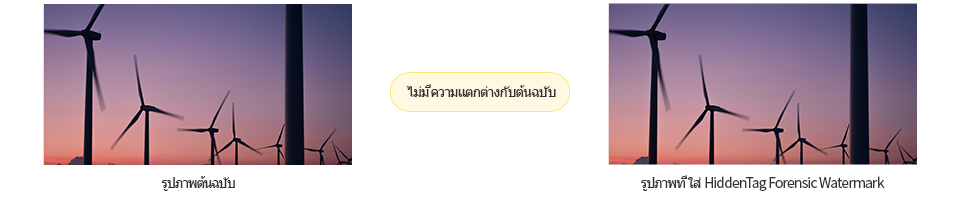 No Visible Difference